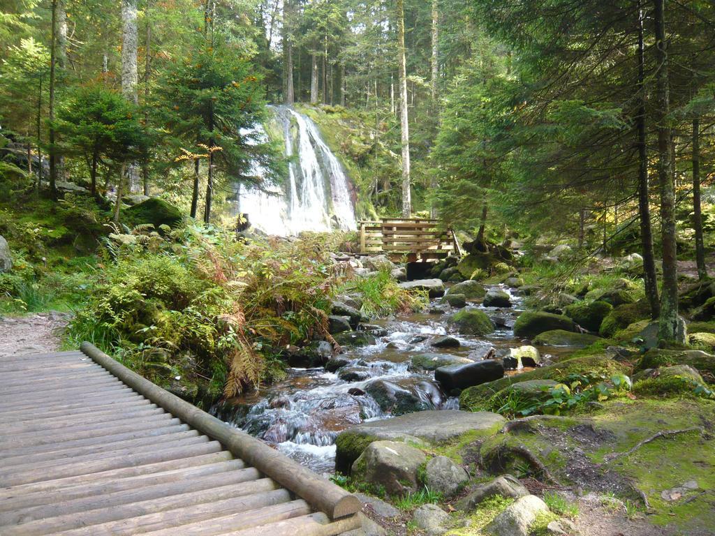 Chalet Luxe 12 Personnes Spa Sauna Vosges-Gerardmer Le Tholy Dış mekan fotoğraf