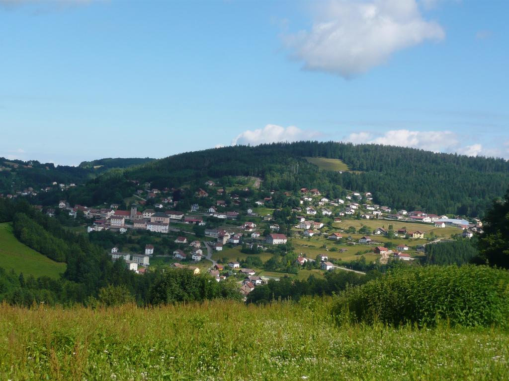 Chalet Luxe 12 Personnes Spa Sauna Vosges-Gerardmer Le Tholy Dış mekan fotoğraf