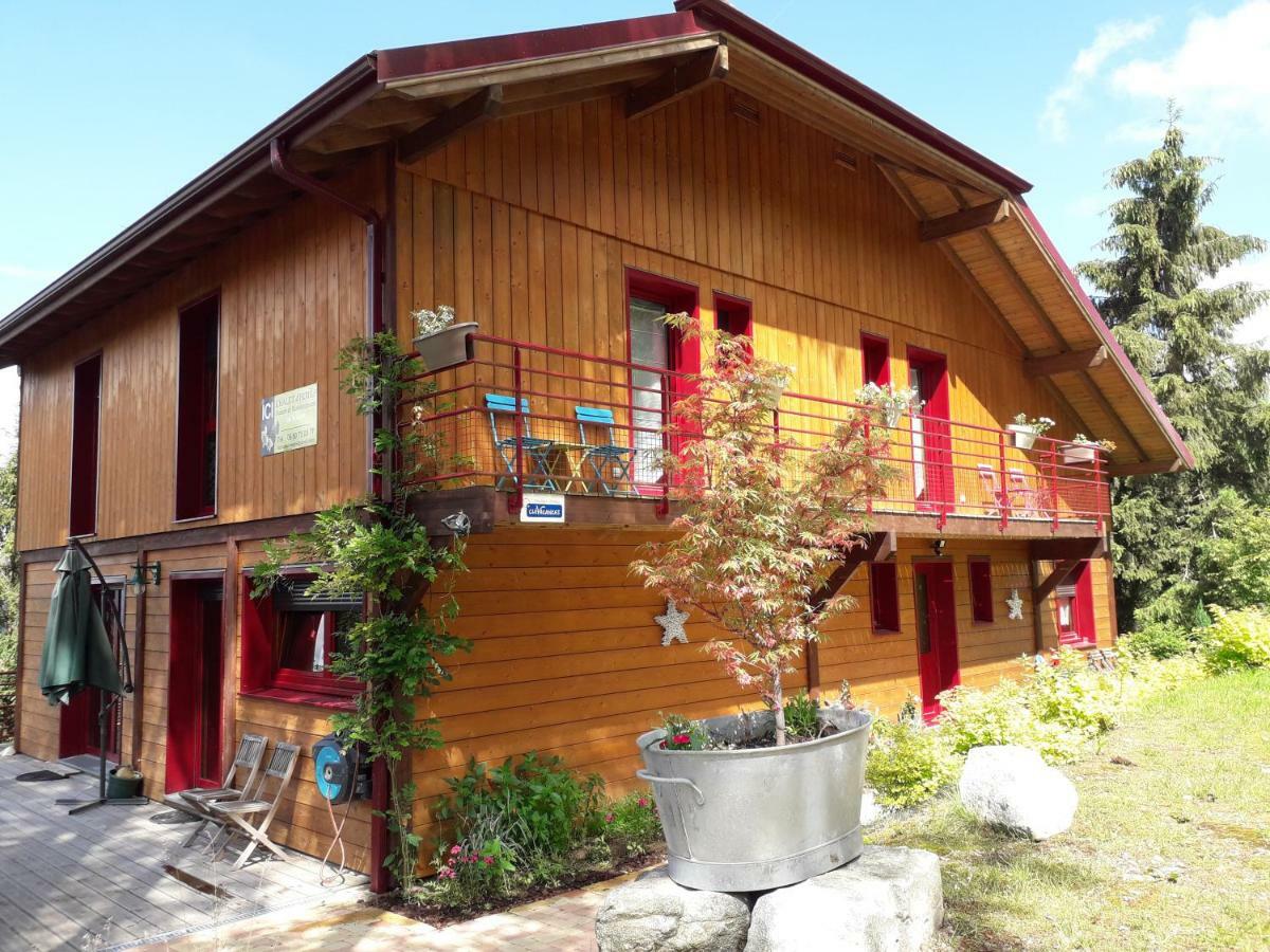 Chalet Luxe 12 Personnes Spa Sauna Vosges-Gerardmer Le Tholy Dış mekan fotoğraf