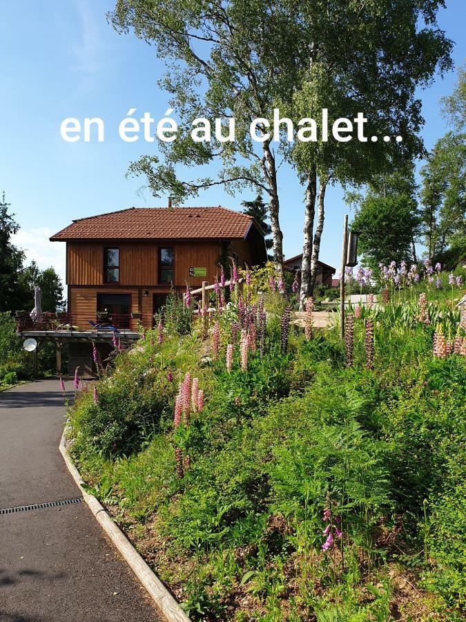 Chalet Luxe 12 Personnes Spa Sauna Vosges-Gerardmer Le Tholy Dış mekan fotoğraf